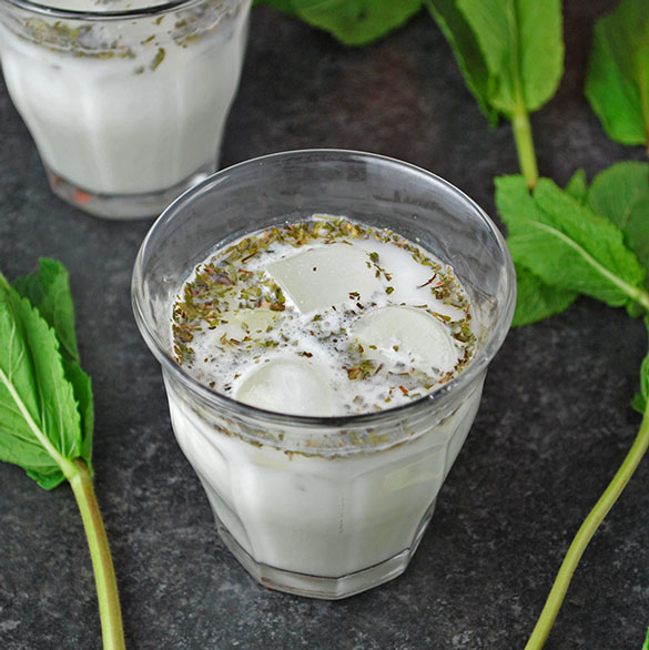 Doogh (Iranian or Persian Carbonated Yogurt Drink